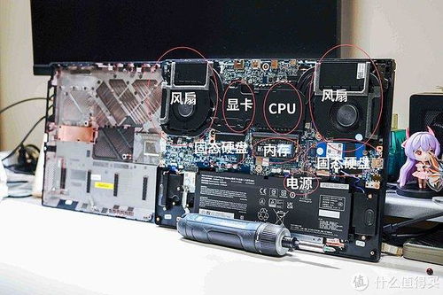 性价比之王，高端配置电脑品牌大盘点