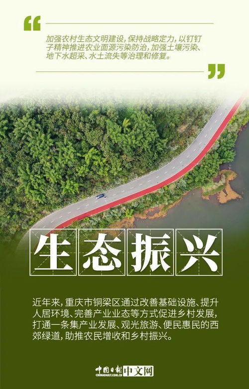 激活乡村人才引擎，共绘乡村振兴美好画卷