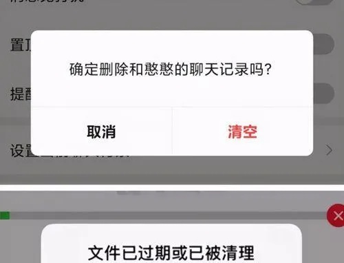 刪除的聊天记录能恢復嗎急 刪除的聊天记录能恢復嗎急