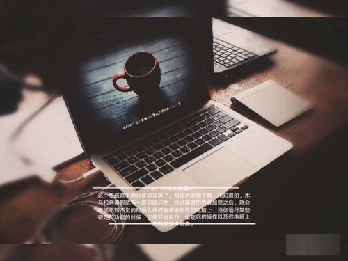 揭秘有信誉的追款黑客联系方式