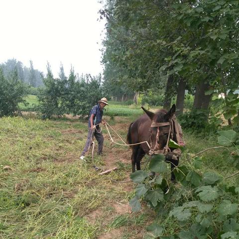 花生车溜溜车—带你领略不一样的亲子出行乐趣