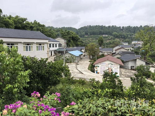 新时代乡村生活新面貌，看懂乡村新变化，拥抱美好生活