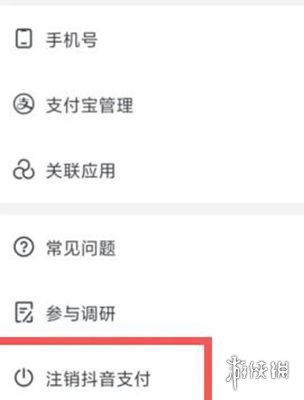 抖音月付如何借款提现到 抖音月付借款提现攻略