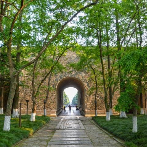 南京热门景点游玩时长排行，轻松规划你的南京之旅！