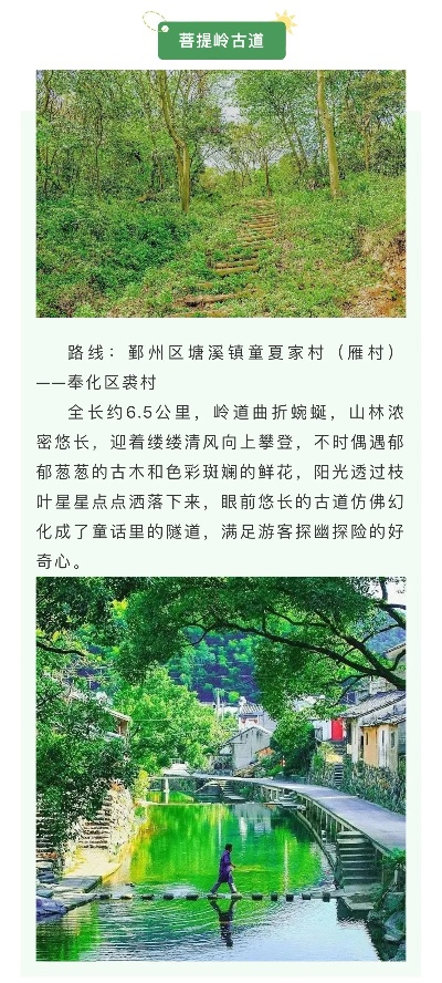 探秘奉化网红打卡地，这份榜单带你玩转奉化美景！