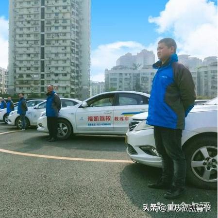 学车认车品牌全攻略，如何一眼辨出好车，轻松上路！