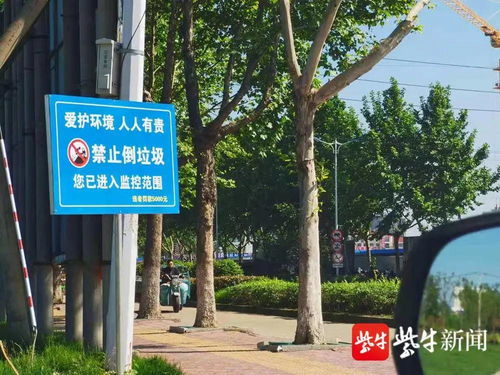 白条取现和白条哪个好用 白条取现与白条，哪个更胜一筹？