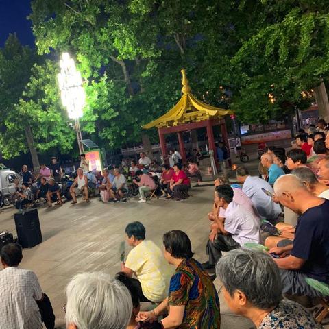 大码拉丁旗袍，展现独特魅力的时尚选择