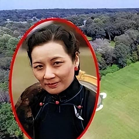 大码拉丁旗袍，展现独特魅力的时尚选择