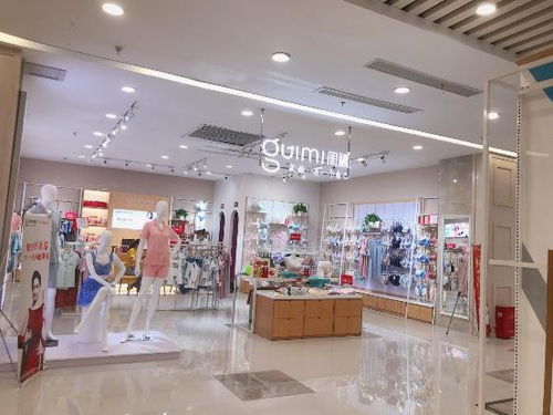 调整型内衣加盟品牌推荐及品牌加盟案例分析
