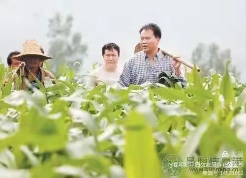 乡村振兴故事，从田间地头到城市角落的温暖传递