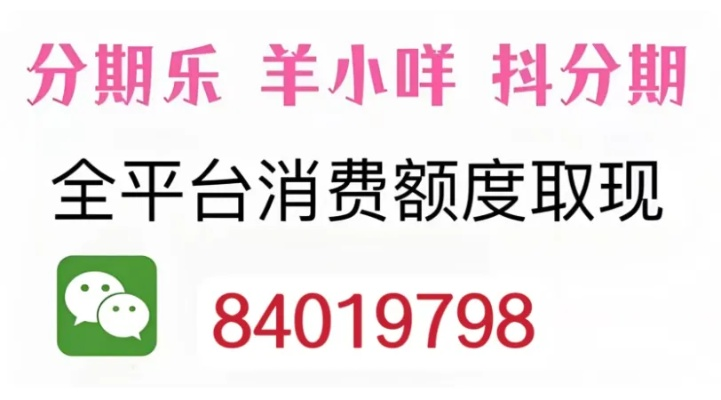 羊小咩便荔卡提现余额 羊小咩便荔卡，揭秘你的卡内余额，轻松提现攻略