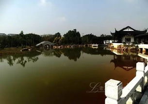 南宁清闲好去处，盘点最新排行榜上的悠闲景点