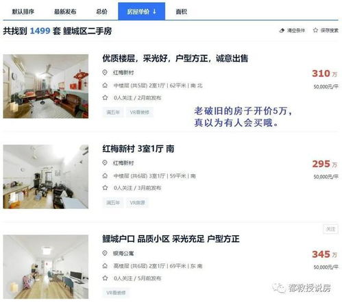 红客追款团队的真伪辨析