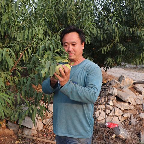 乡村振兴路上的华丽蜕变—路边改造效果大盘点