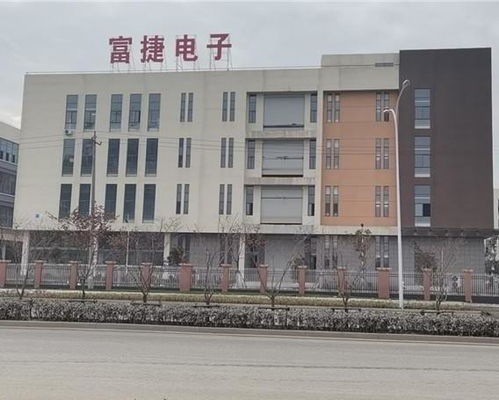 漯河加盟电子厂品牌大盘点
