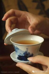 盘点当下最火的茶叶品牌，品味茶香四溢的时光之旅