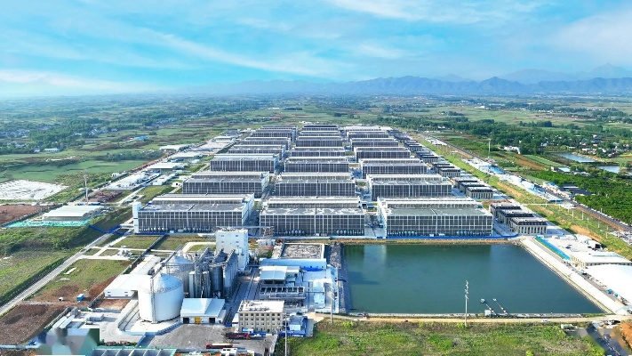 牧原集团助力乡村振兴经济的实践与启示
