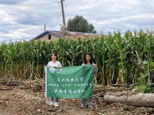 东北大学生助力乡村振兴，青春力量在行动