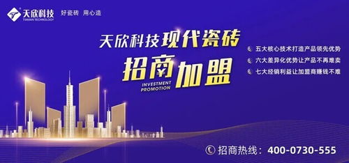 壹豪陶瓷，揭秘一线品牌的魅力与实力