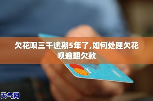 桃多多额度提现,桃多多额度一千五 桃多多额度提现案例分析
