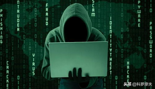 揭秘网络黑客的神秘世界，如何寻找他们的联系方式？