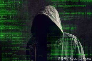 揭秘网络黑客的神秘联系，揭秘他们的联系方式与真实案例