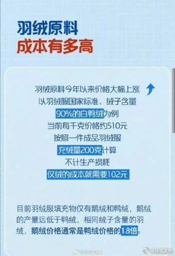 鸭绒被旗舰店大揭秘，价格与品质的完美结合