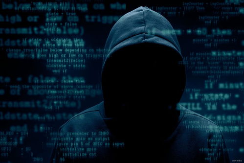 揭秘专业黑客24小时在线接单，揭秘黑暗世界的神秘服务