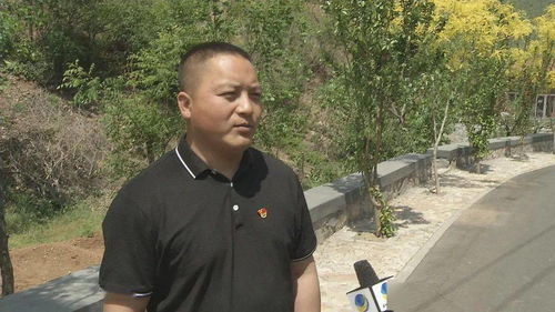我的乡村保洁员申请书—为美丽家园添砖加瓦