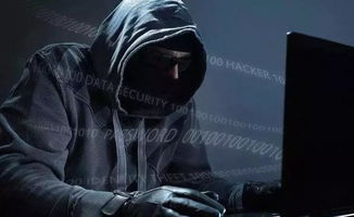 全国最大黑客诚信追款，正义与技术的较量