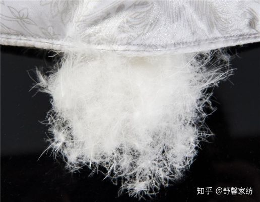 冬季鸭绒被的重量选择，八斤还是十斤？