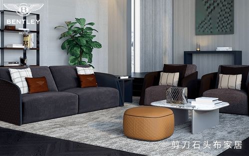 打造独特记忆点—沙发品牌名字的创意与魅力