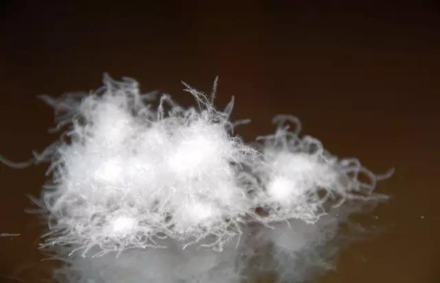 如何让鸭绒被蓬松如新？实用技巧大揭秘！