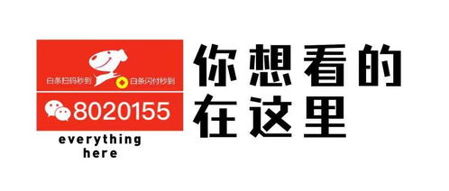 京东白条提现攻略，如何安全高效地取现