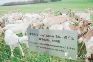 安平那能扫羊小咩便荔卡提现 关于羊小咩提现的探索之旅—安平揭秘