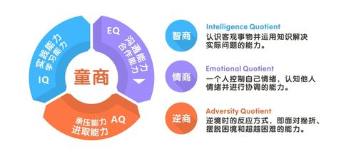 黑龙江情商早教加盟费用概览
