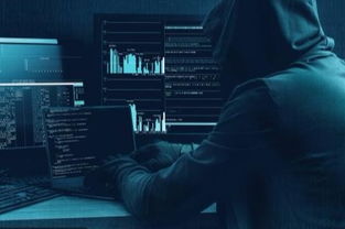 信誉黑客追款团队，揭秘网络追债的神秘力量
