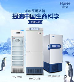 2023年冰箱市场盘点，十大品牌实力对决，谁才是你的最佳选择？
