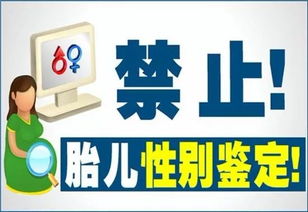 母婴品牌侵权的警示与应对