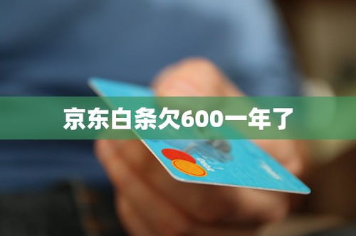 探索白条提现的便捷之道