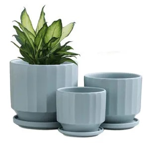 陶瓷花盆设备品牌大盘点，选购指南与案例分析