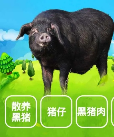 苏食黑毛猪加盟品牌大全
