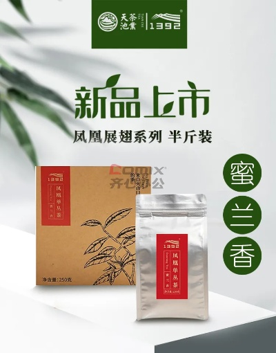 南瓜茶叶品牌大盘点，哪一款是你的心头好？