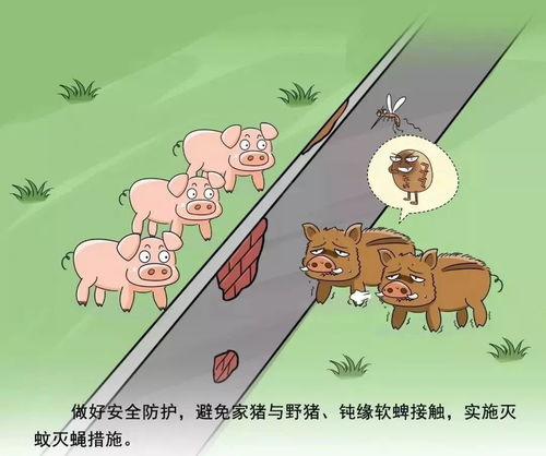 珠海风控羊小咩便荔卡提现 珠海风控羊小咩便荔卡提现攻略，轻松便捷，安全无忧！