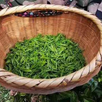 茶香四溢，品味生活—推荐几款茶叶饮料品牌，让你轻松享受茶文化