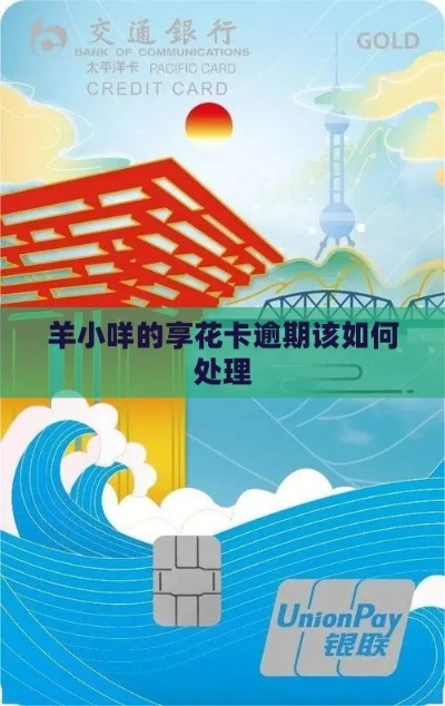 我朋友找我羊小咩享花卡提现 羊小咩享花卡提现，我朋友的惊喜之旅