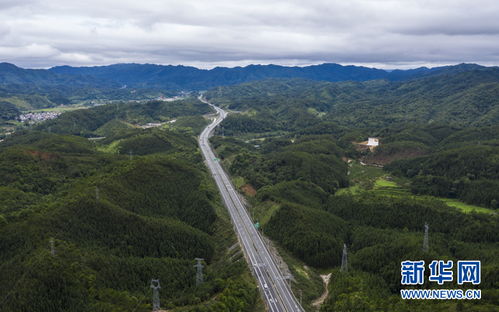 内陆地区乡村振兴之路，因地制宜，多点开花