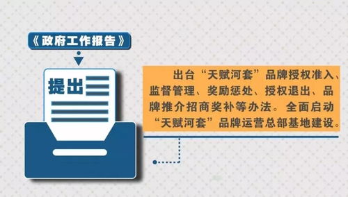 陶瓷滚珠成分大揭秘，知名品牌及案例分析