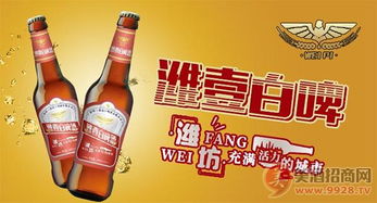 海口啤酒代理加盟品牌推荐